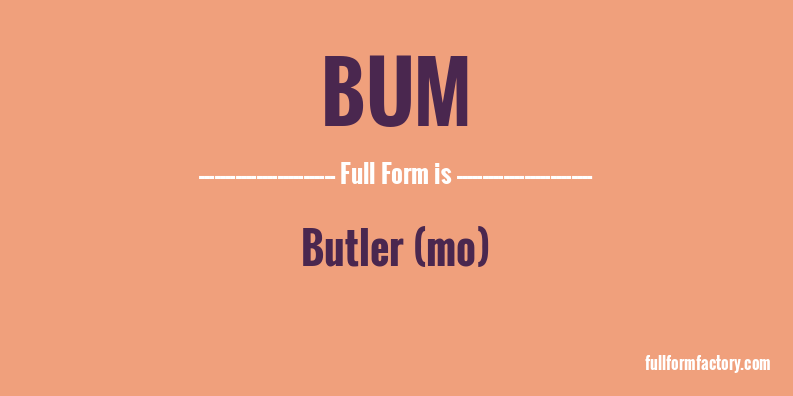 bum-full-form
