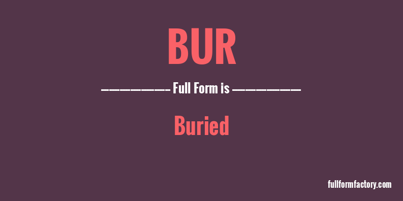 bur-full-form