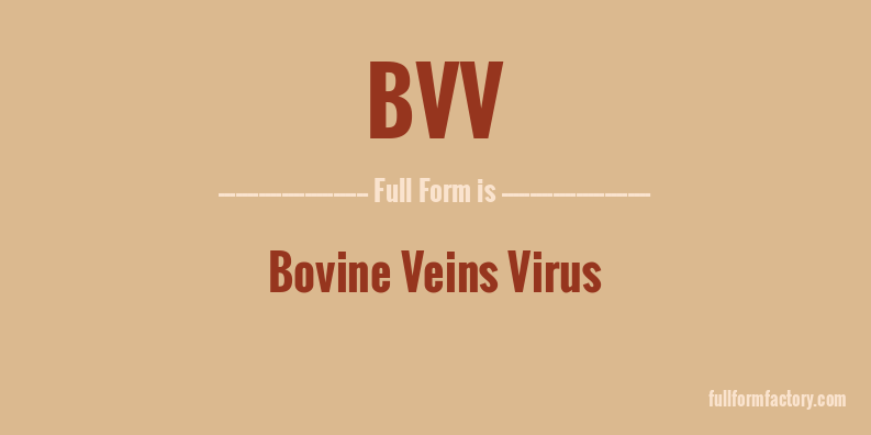 bvv-full-form