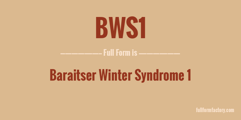 bws1-full-form