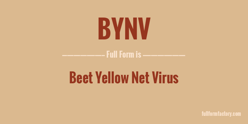 bynv-full-form