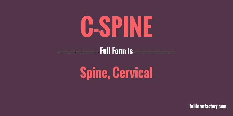 c-spine-full-form