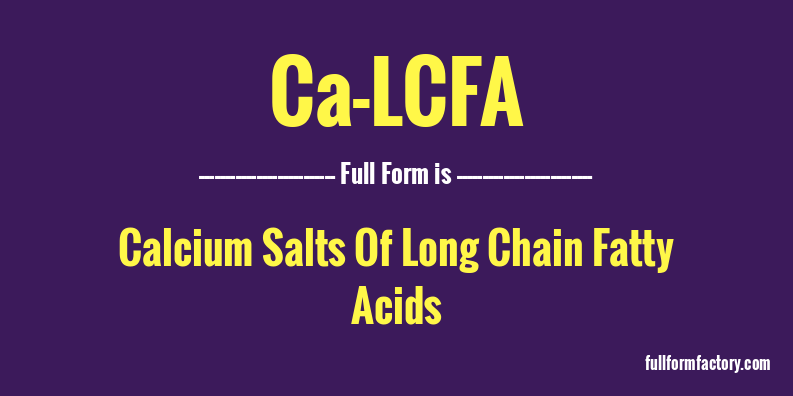 ca-lcfa-full-form