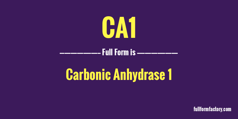 ca1-full-form
