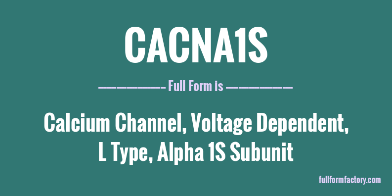 cacna1s-full-form