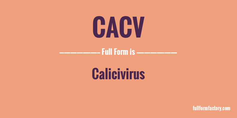 cacv-full-form