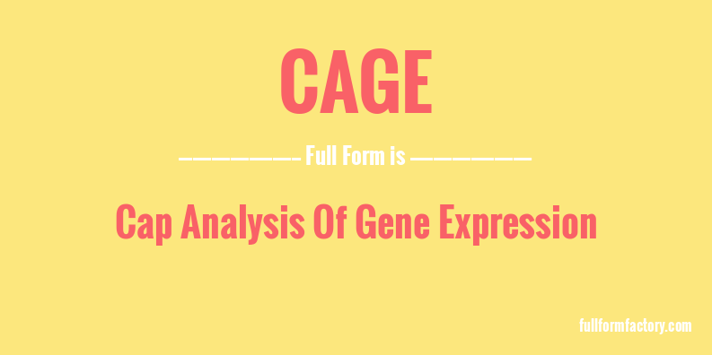 cage-full-form