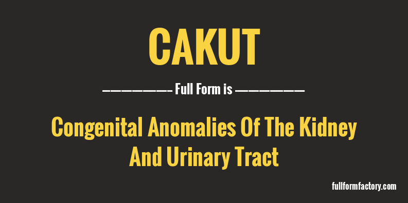 cakut-full-form