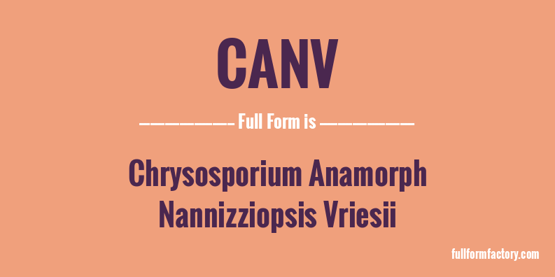 canv-full-form