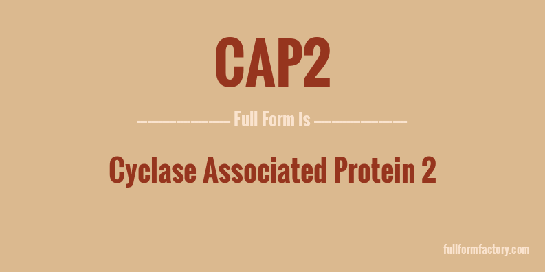 cap2-full-form