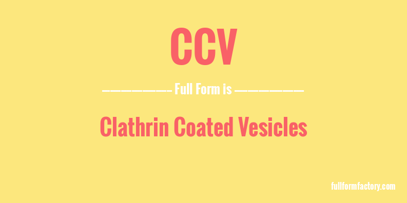 ccv-full-form