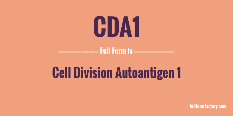 cda1-full-form