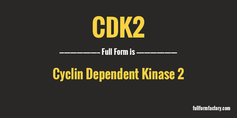 cdk2-full-form