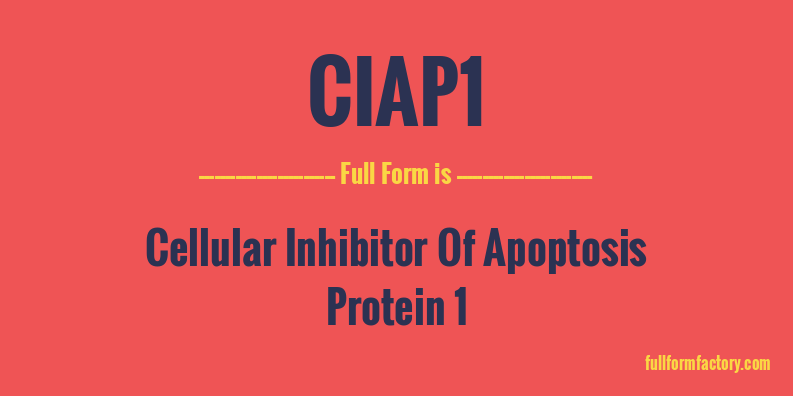 ciap1-full-form