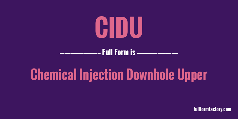 cidu-full-form