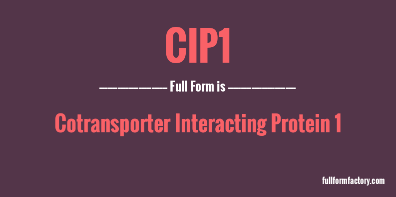 cip1-full-form