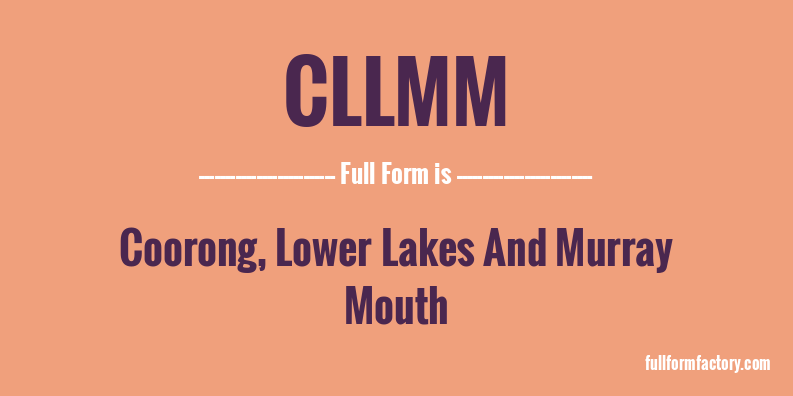 cllmm-full-form