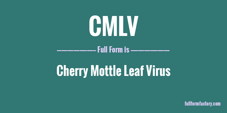 cmlv-full-form
