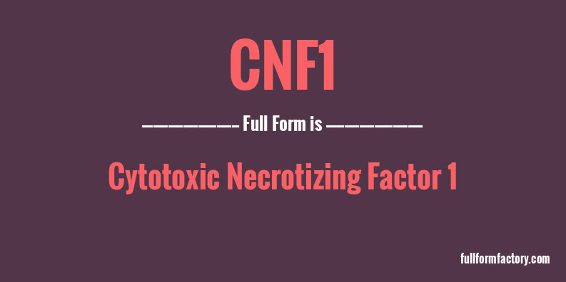 cnf1-full-form