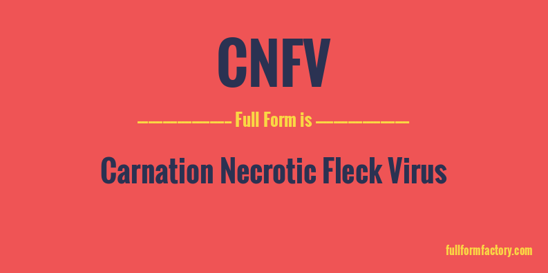 cnfv-full-form