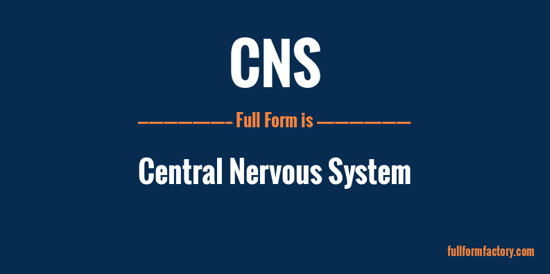 cns-full-form