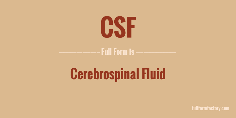 csf-full-form