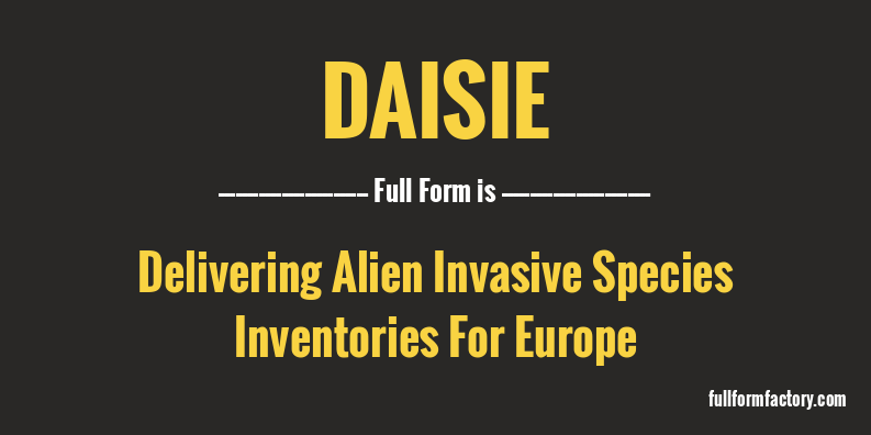 daisie-full-form