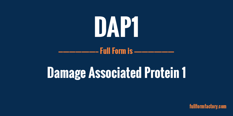dap1-full-form