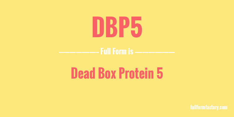 dbp5-full-form