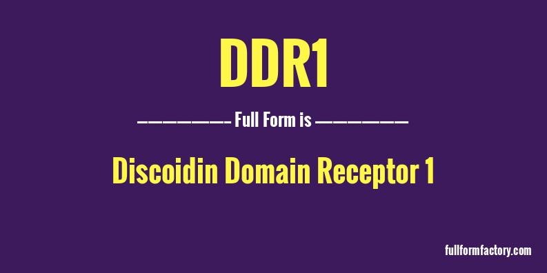 ddr1-full-form