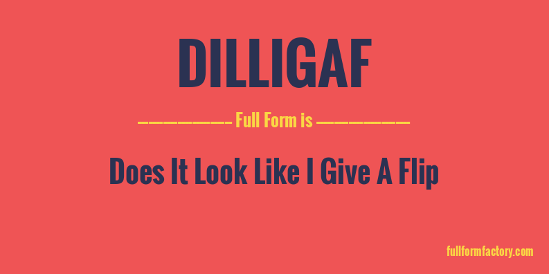 dilligaf-full-form
