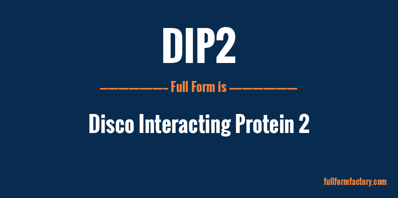 dip2-full-form