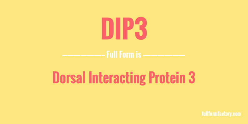 dip3-full-form
