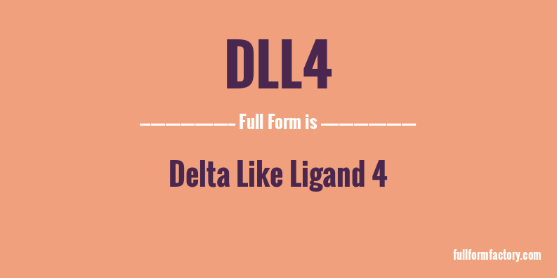 dll4-full-form
