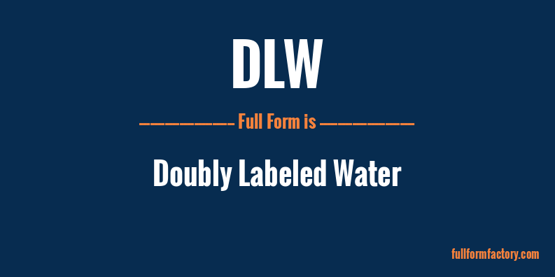 dlw-full-form