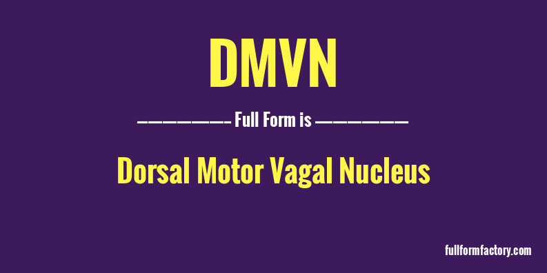 dmvn-full-form