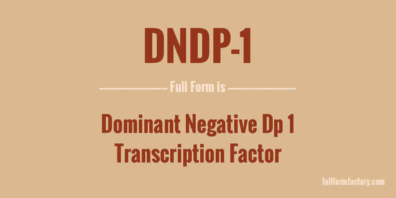 dndp-1-full-form