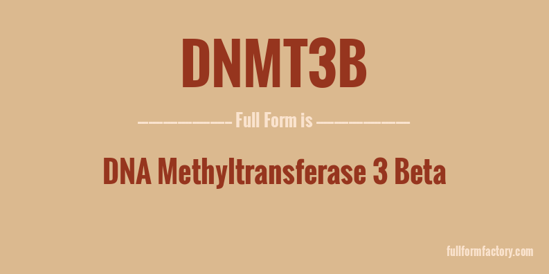 dnmt3b-full-form