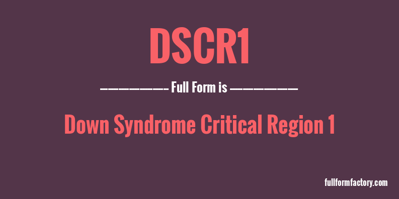 dscr1-full-form