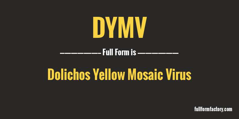 dymv-full-form