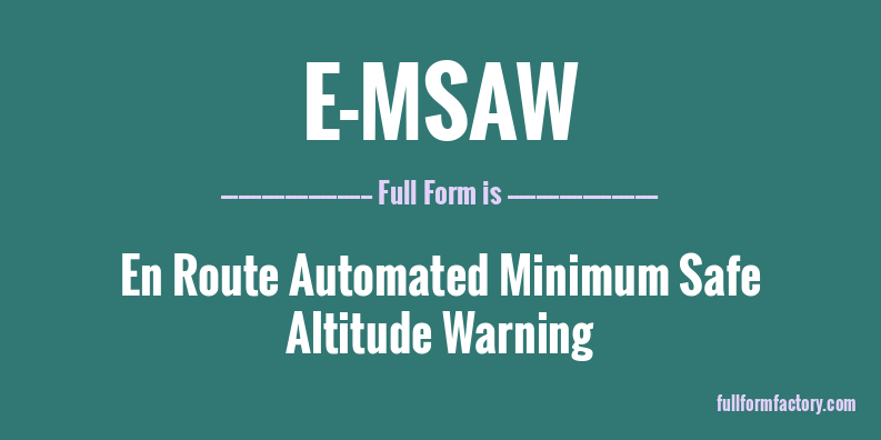 e-msaw-full-form