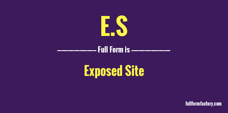 e.s-full-form