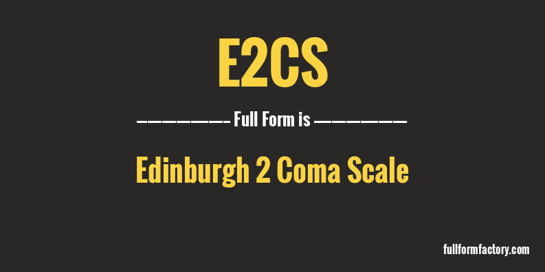 e2cs-full-form
