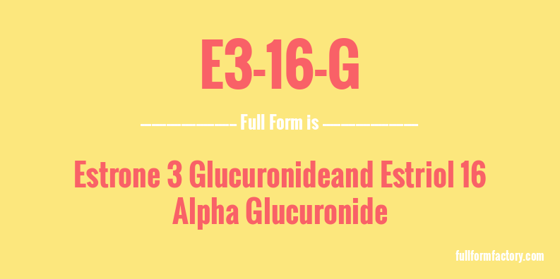 e3-16-g-full-form