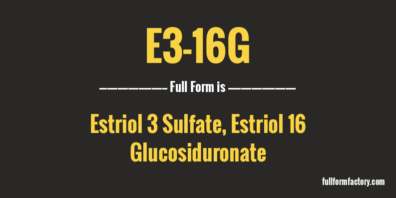 e3-16g-full-form