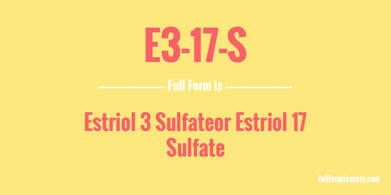 e3-17-s-full-form