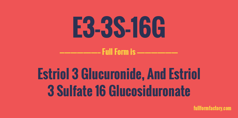 e3-3s-16g-full-form