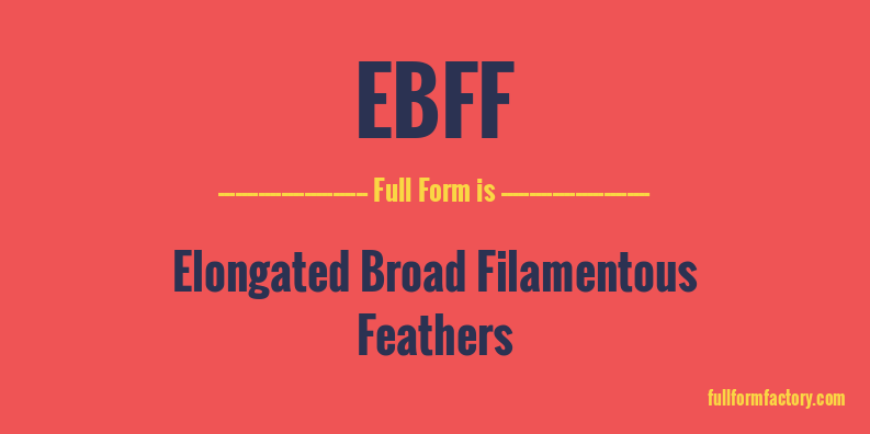 ebff-full-form