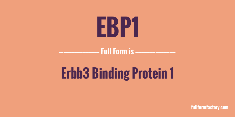 ebp1-full-form