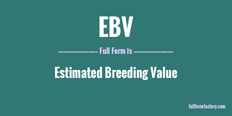 ebv-full-form
